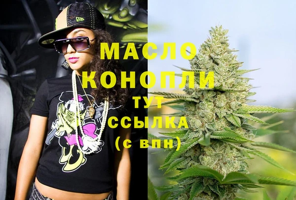 индика Пролетарск