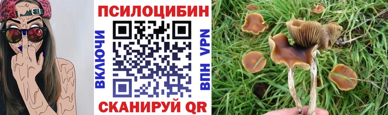 KRAKEN как войти  Липки  Галлюциногенные грибы Cubensis 